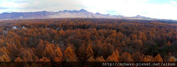 紅葉全景4 紅葉全景4