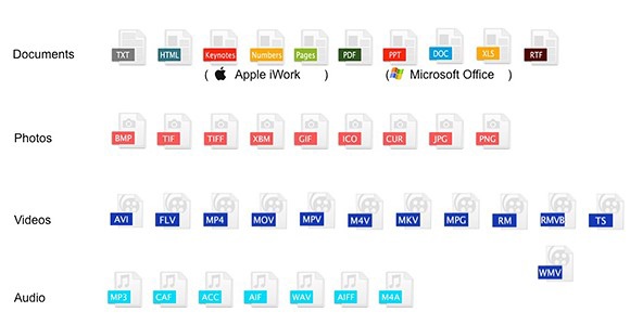 麦兜小米\/双头龙再进化 档案快速传输 | ETtoda