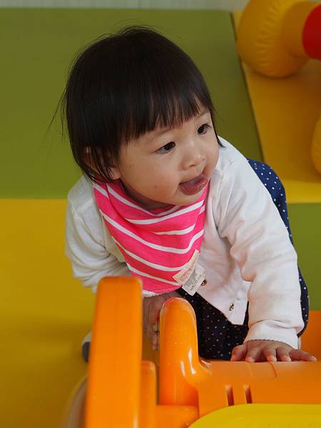 P1170533.JPG P1170533.JPG