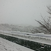 TokyoOsaka (160).JPG