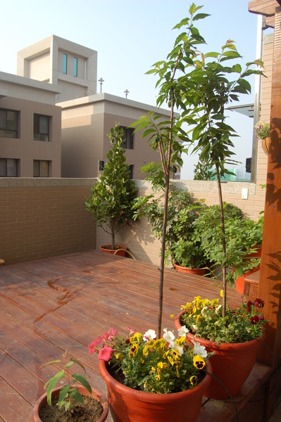 花園 (5).JPG 花園 (5).JPG