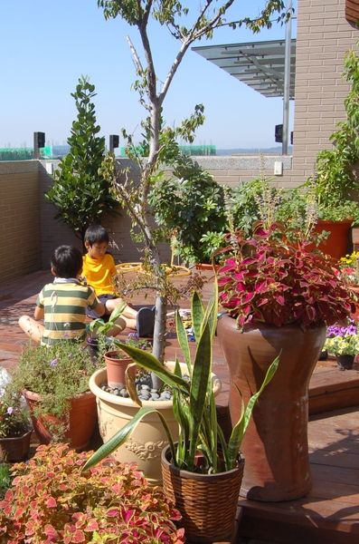 花園玩耍.1.1.JPG 花園玩耍.1.1.JPG