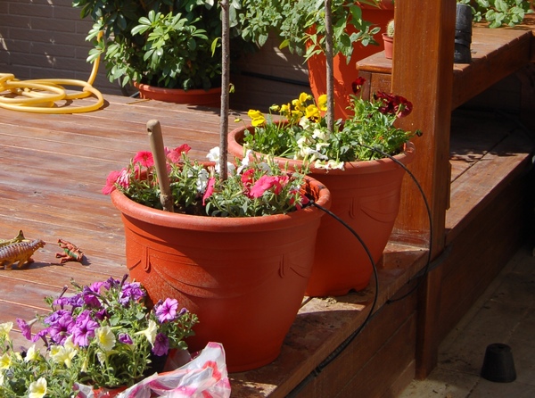 花園玩耍.1 (15).2.JPG