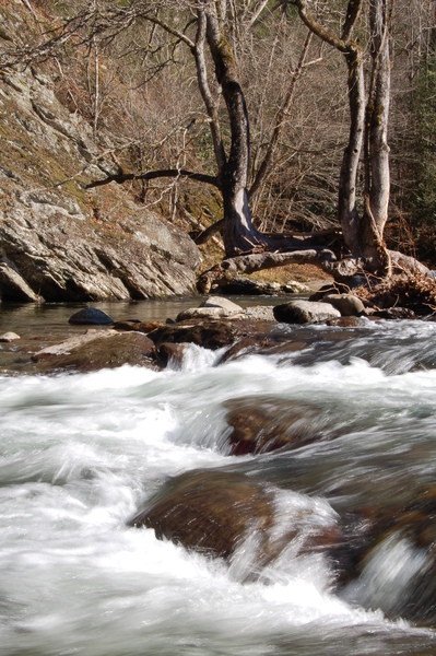 DSC_0206.JPG DSC_0206.JPG