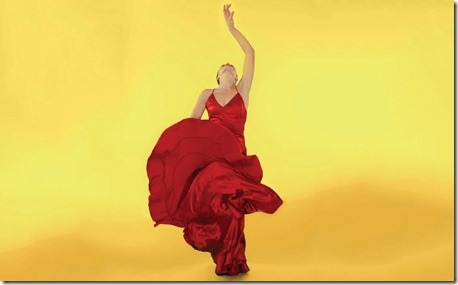 flamenco-festival-2014 flamenco-festival-2014