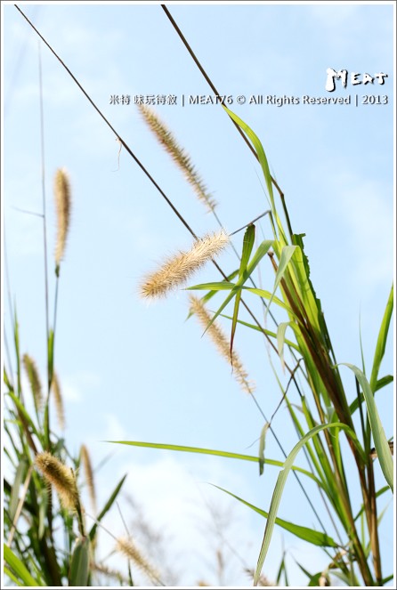 米特,味玩待敘 部落格© MEAT76|2013【大溝溪親水公園】台北內湖旅遊玩樂景點遊記|溪流賞魚蝦,遛狗避暑勝地(近捷運大湖公園站)017