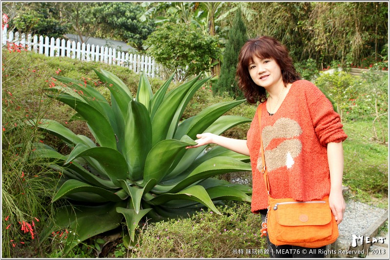 米特,味玩待敘 部落格© MEAT76|2013【大溝溪親水公園】台北內湖旅遊玩樂景點遊記|溪流賞魚蝦,遛狗避暑勝地(近捷運大湖公園站)018