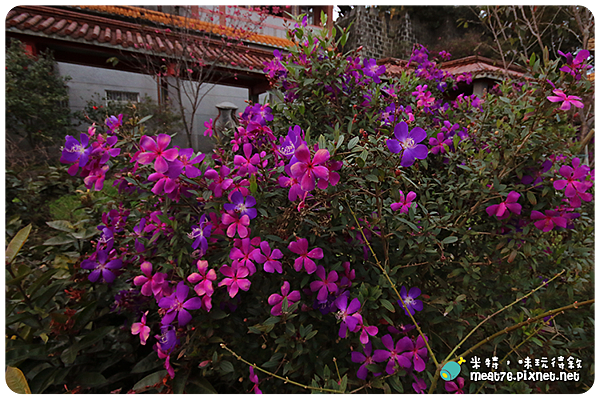 米特，味玩待敘｜部落格 © MEAT76｜台灣美食旅遊親子部落客｜2015-02-19-4【新北汐止。廟宇／爬山景點】拱北殿｜台北過年走春、拍攝秋楓熱門景點(羕2M13D)-010.png