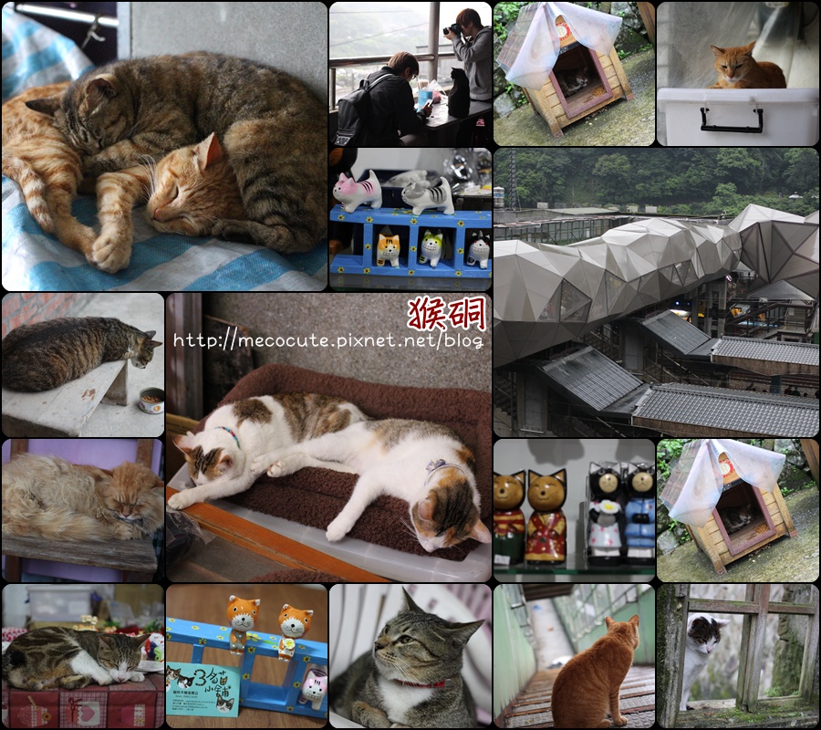 猴硐(貓村) 猴硐(貓村)