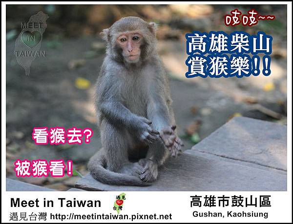 MeetinTaiwan - Chai Shan 01.jpg