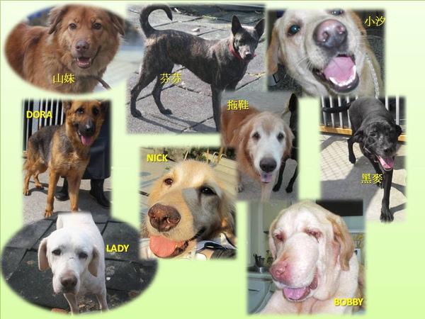 20110315_克拉拉的小朋友.jpg 20110315_克拉拉的小朋友.jpg