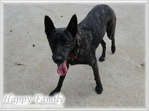 070403.jpg 070403.jpg