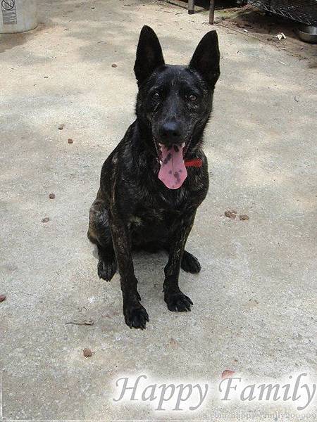 070401.jpg 070401.jpg