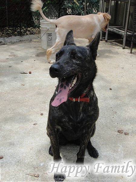 070402.jpg 070402.jpg