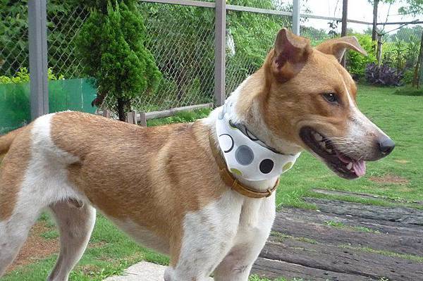 071501.jpg 071501.jpg