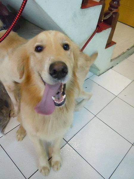 102101.jpg 102101.jpg