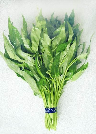 空心菜88 空心菜88