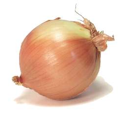 onion.jpg onion.jpg