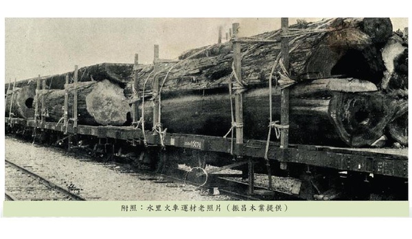 「早期火車載運樟樹圖」的圖片搜尋結果