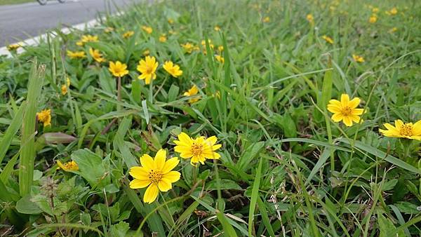 DSC_0939 DSC_0939