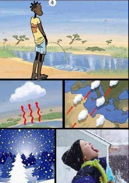 1366_531594476900135_150447868_n