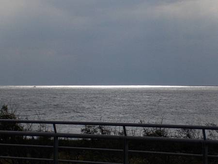 DSCN0100 DSCN0100