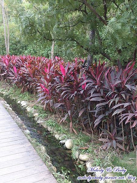 DSC_9597.jpg DSC_9597.jpg