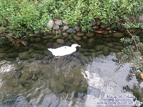 DSC_9621.jpg DSC_9621.jpg