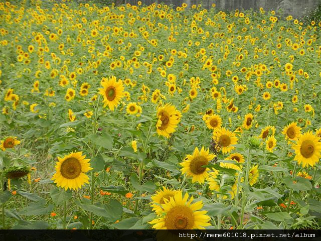 我家小孩 028.jpg