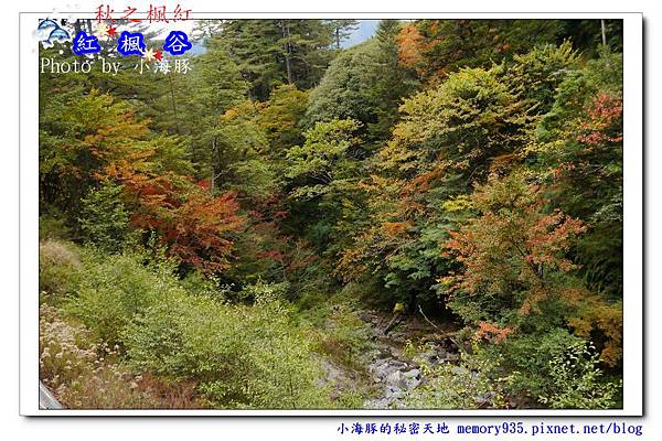 仁愛鄉~紅楓谷01 仁愛鄉~紅楓谷01