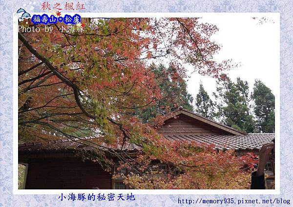 和平區~福壽山農場10 和平區~福壽山農場10
