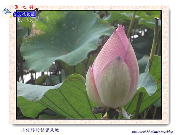 中正區~台北植物園001 中正區~台北植物園001