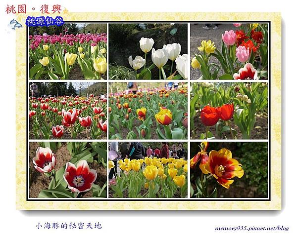 復興鄉。桃源仙谷001 復興鄉。桃源仙谷001
