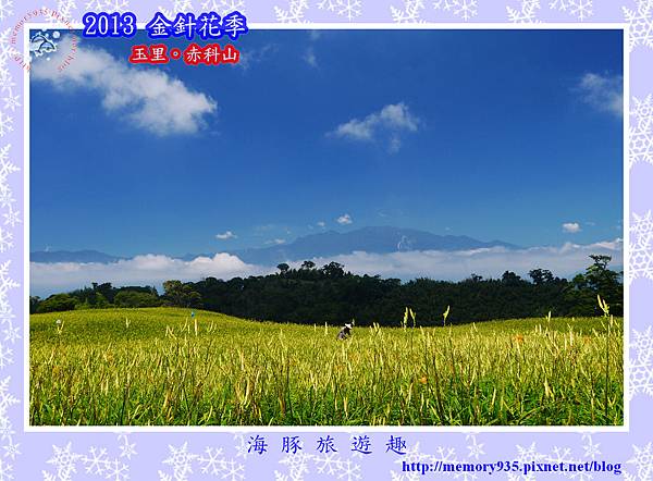 2013赤科山金針季001 2013赤科山金針季001