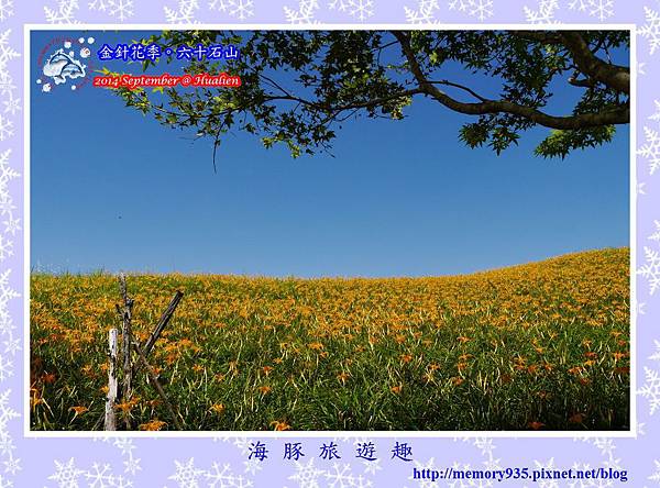 2014金針花季。六十石山008 2014金針花季。六十石山008