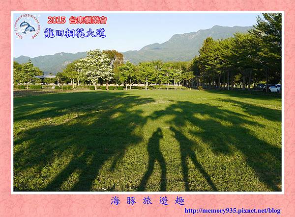 2015桐花季。龍田桐花大道 (1) 2015桐花季。龍田桐花大道 (1)