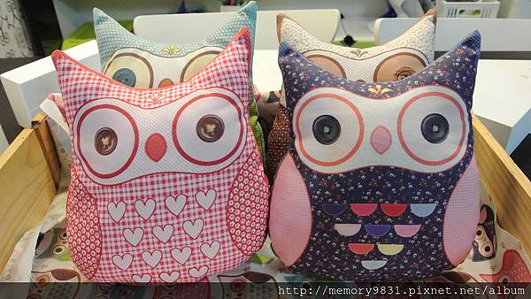貓頭鷹小睡枕