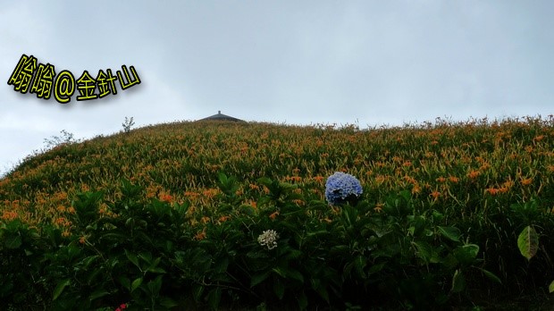 雙乳峰千禧亭 雙乳峰千禧亭