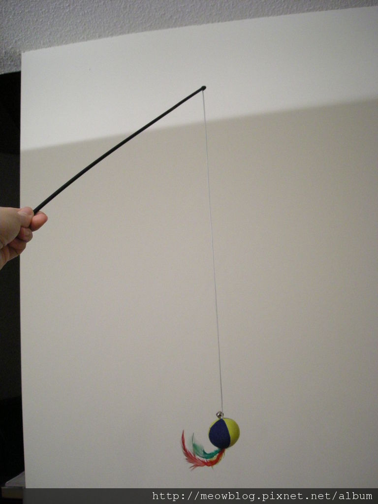 DSCN1631.JPG DSCN1631.JPG