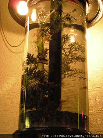 DSCN1669.JPG DSCN1669.JPG