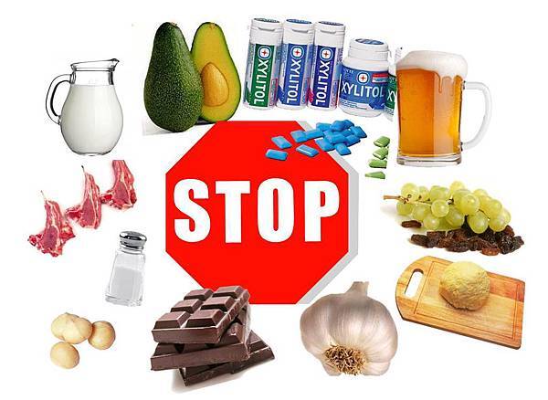 735631_455919014471567_1548274297_o