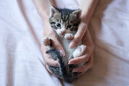 February-24-2012-23-46-00-tumblrlu60vlX6Ht1r20hi2o1500