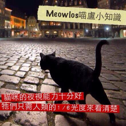 1455164_621355947927872_95484253_n