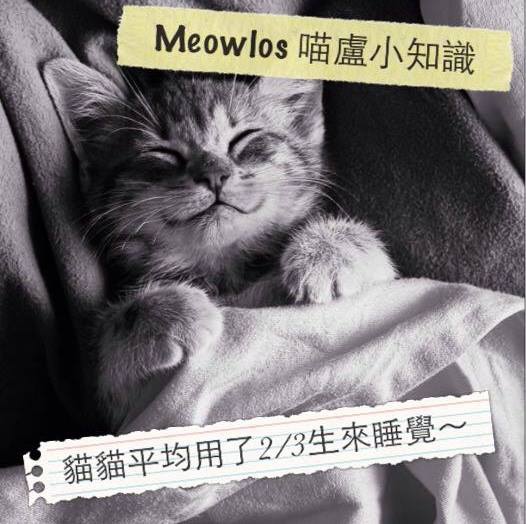 946092_620977131299087_1752458172_n 946092_620977131299087_1752458172_n