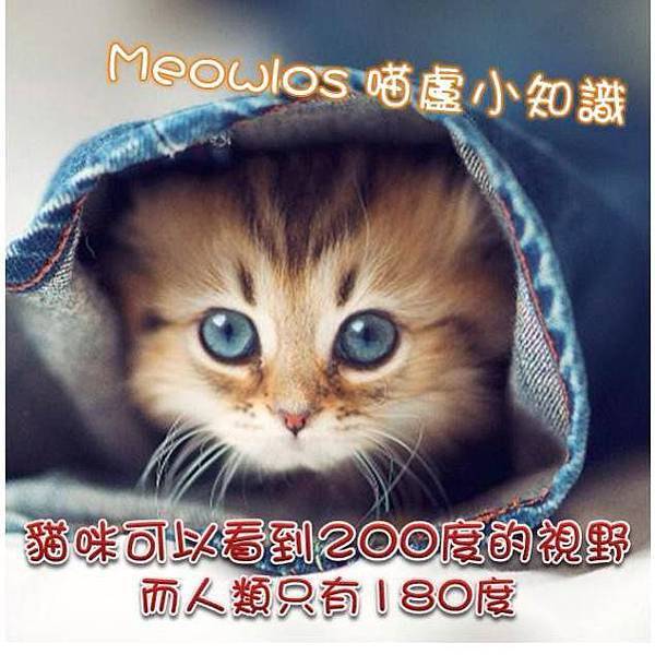 1476496_619581021438698_266433474_n