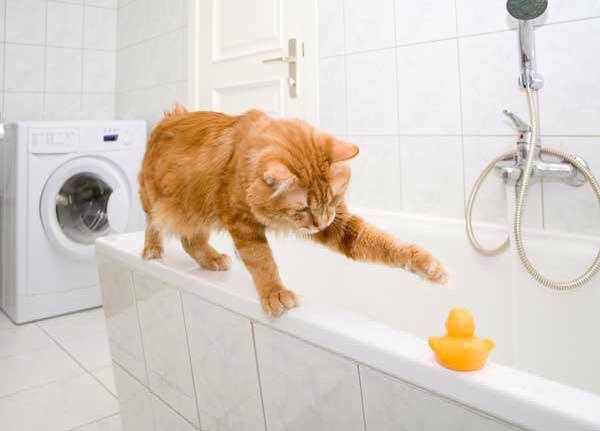 1466215_611710238892443_1717024386_n