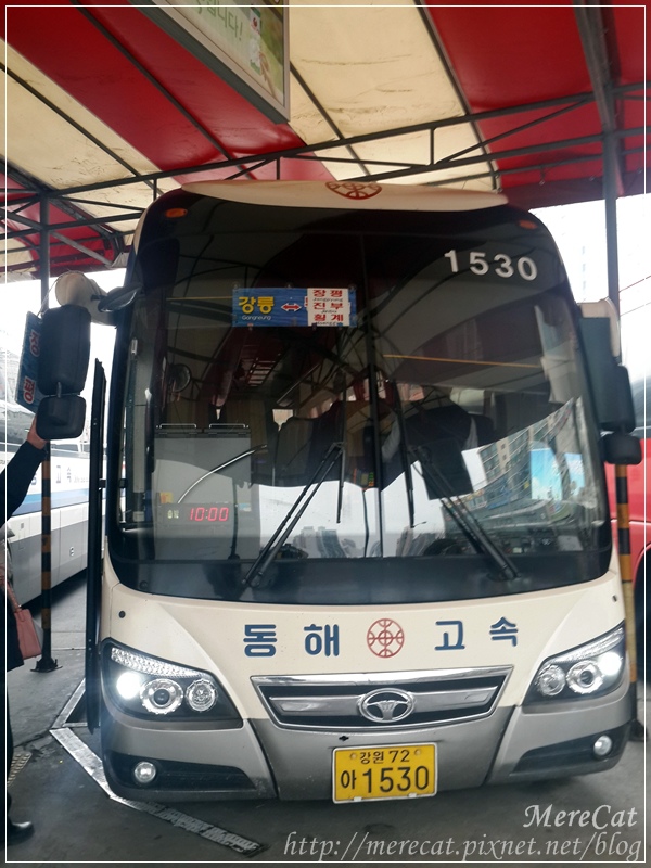 BUS (1).jpg BUS (1).jpg