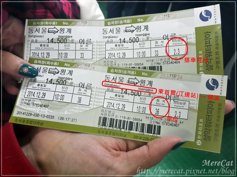 BUS (6).jpg BUS (6).jpg