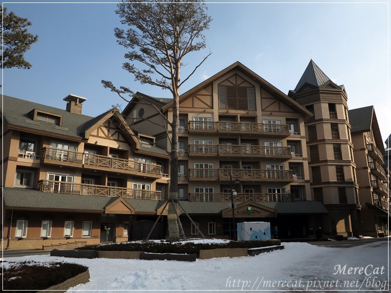 IMG_9606.JPG IMG_9606.JPG