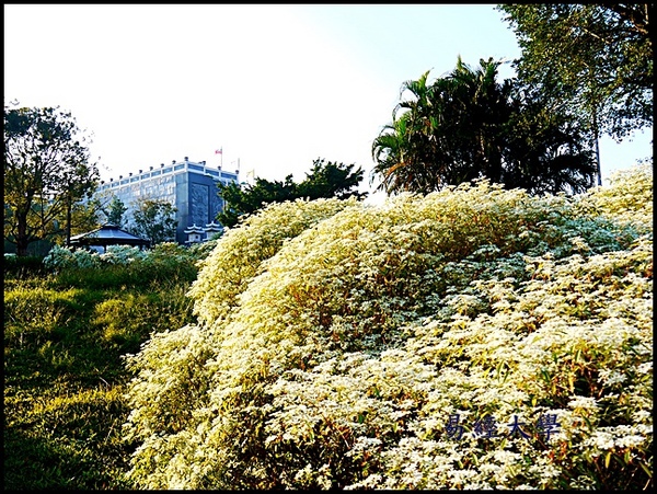 易經大學:<南投景點>寒流來襲讓南投山區偷偷下雪啦~「易經大學」 易經大學:<南投景點>寒流來襲讓南投山區偷偷下雪啦~「易經大學」